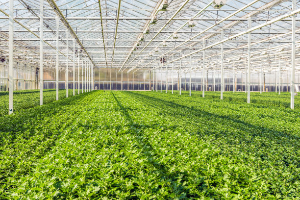 greenhouse