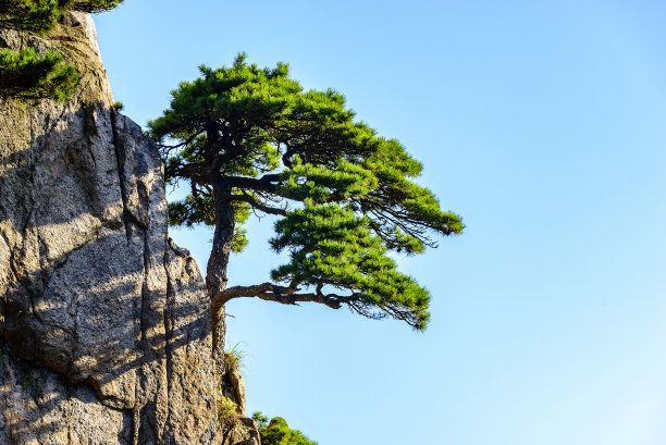 黄山素材