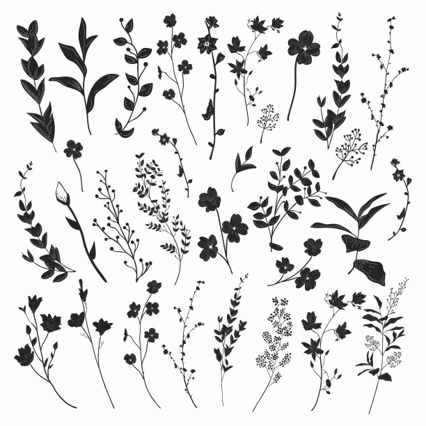 floral