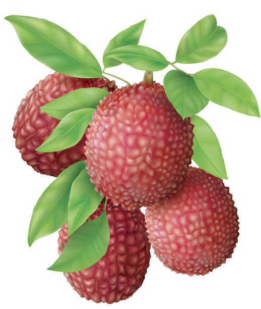litchi