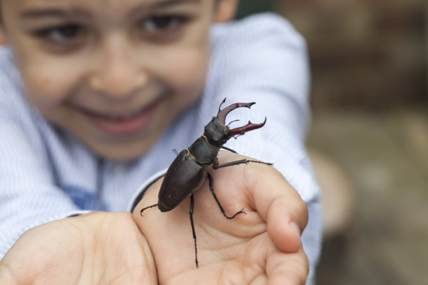entomology