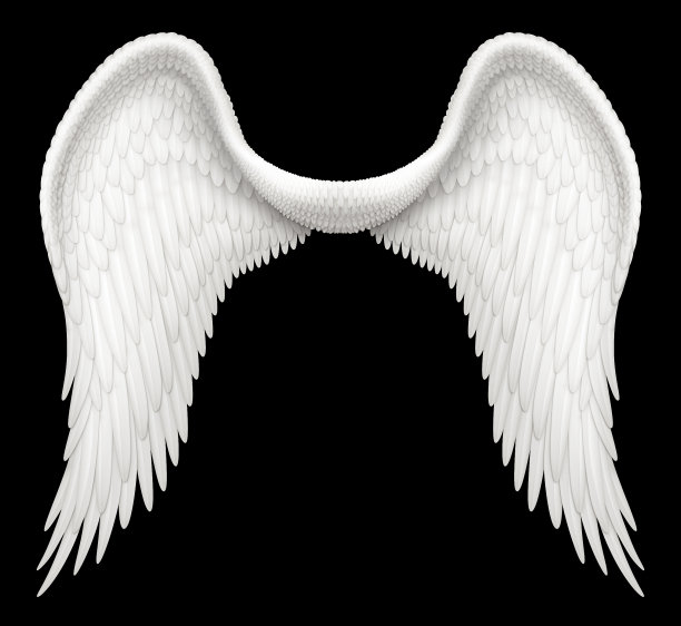 有的翅膀的小天使
