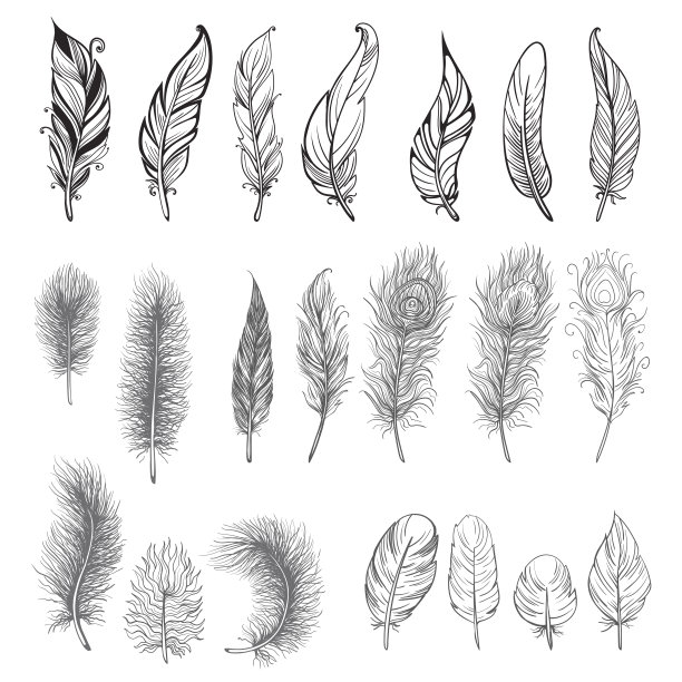feathers