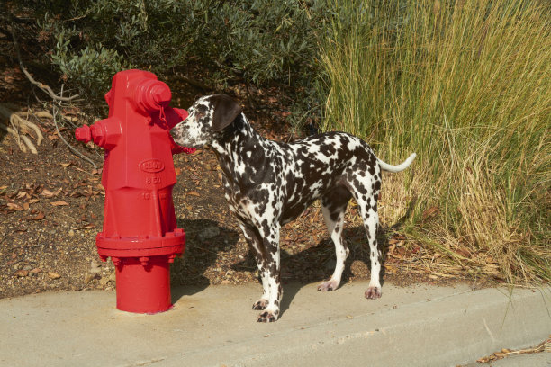 可爱消防栓