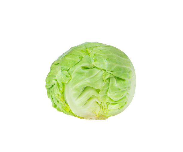 生菜,甘蓝,自然界的状态