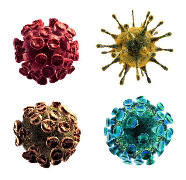 bacteria