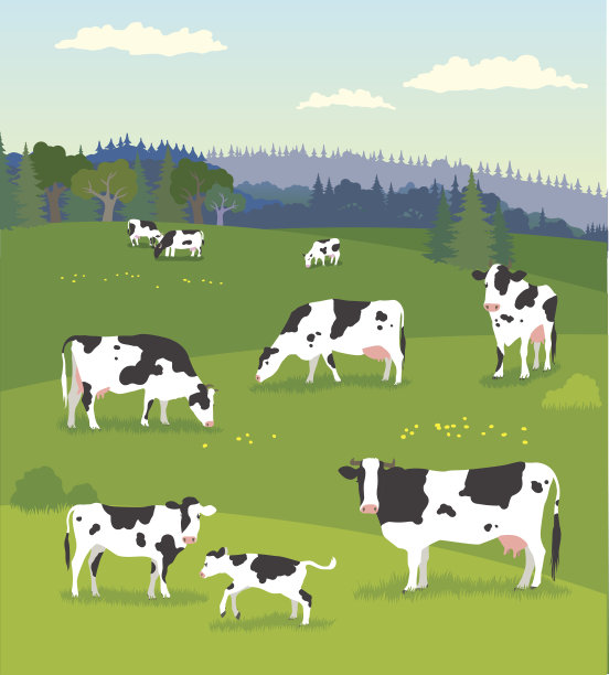 草地上的牛犊