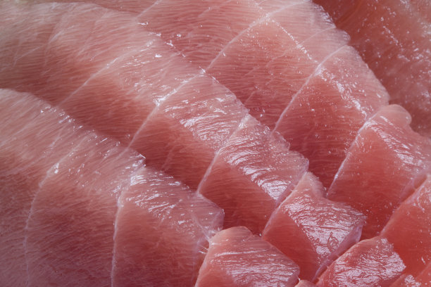 tuna
