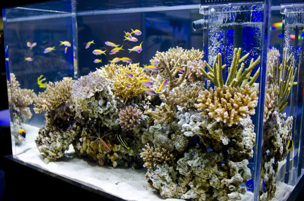 aquarium
