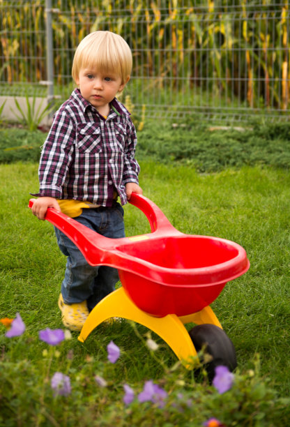 wheelbarrow