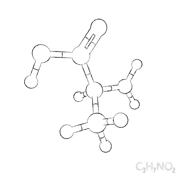 胺