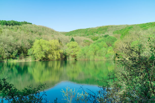 蓝天森林湖景