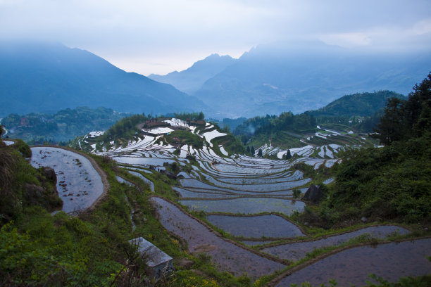 zhejiang