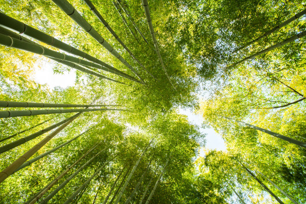 东方石景花园