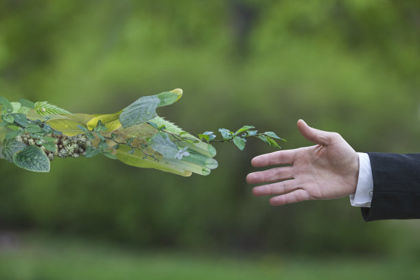 绿草水珠