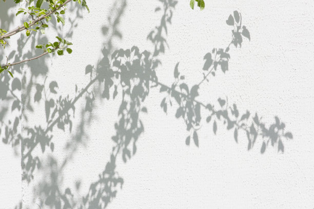 shadow
