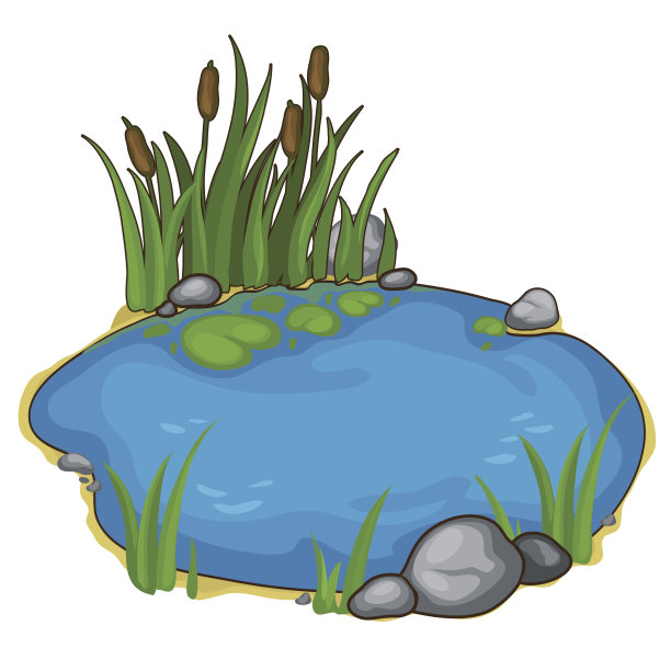 ponds
