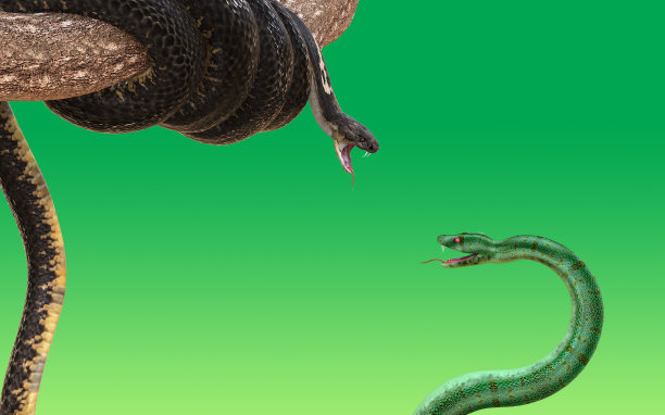 atheris