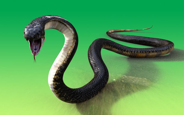atheris