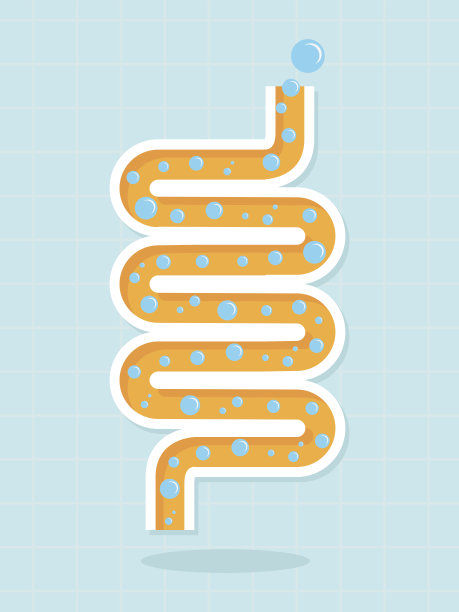 digestion
