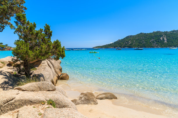 mediterranean