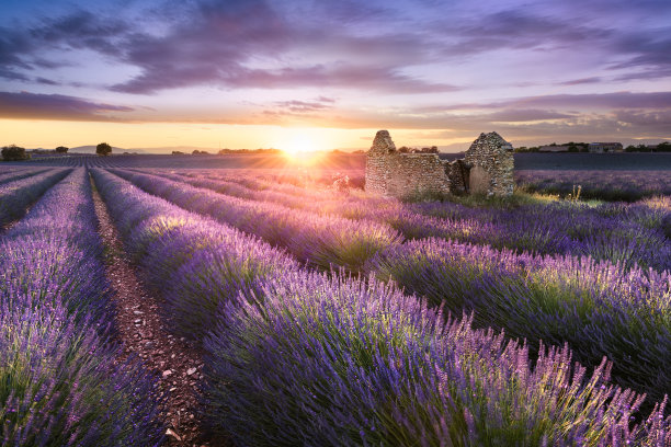 provence