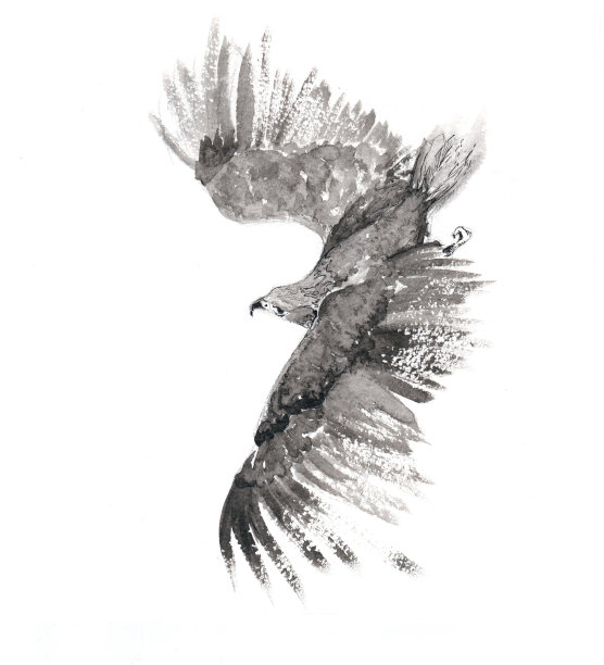 wings