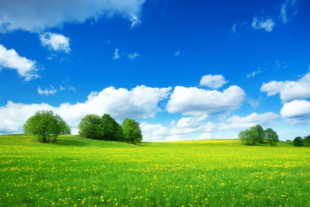 scenics