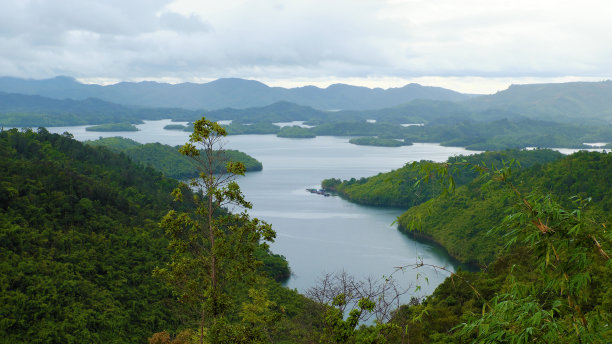 鱼塘景观设计