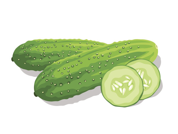 cucumber