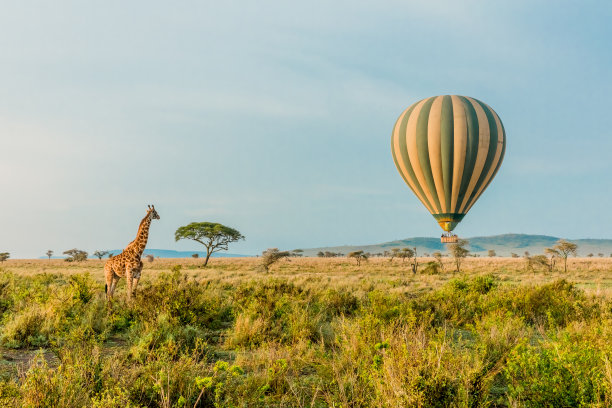 serengeti