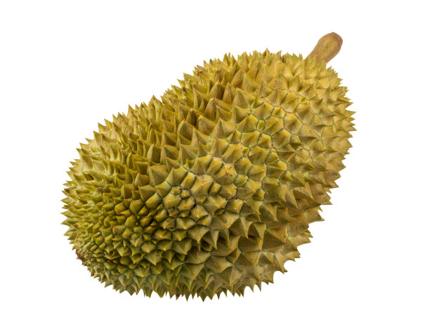 durian