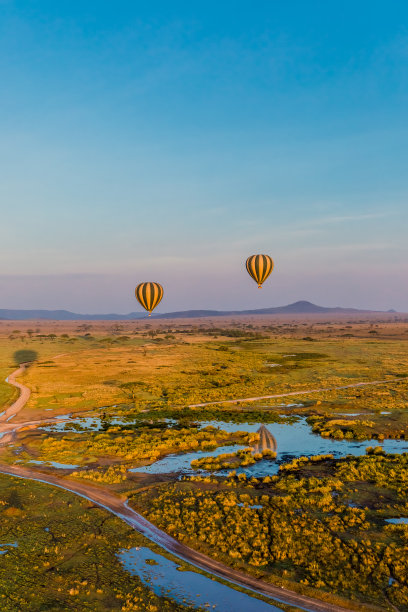 serengeti