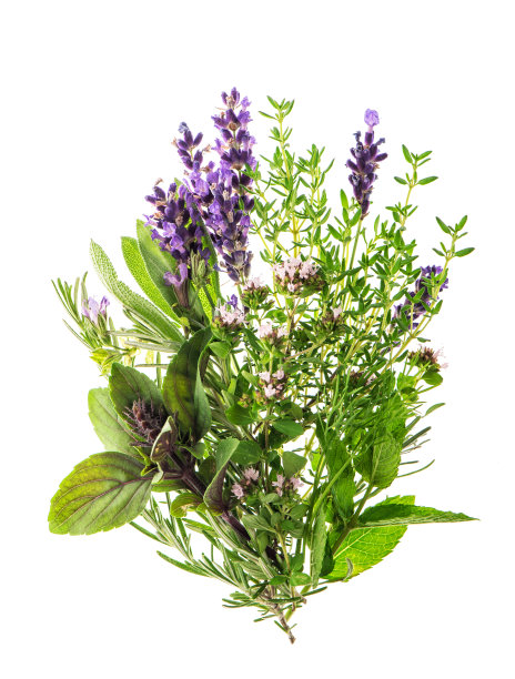 rosemary