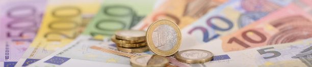 euro