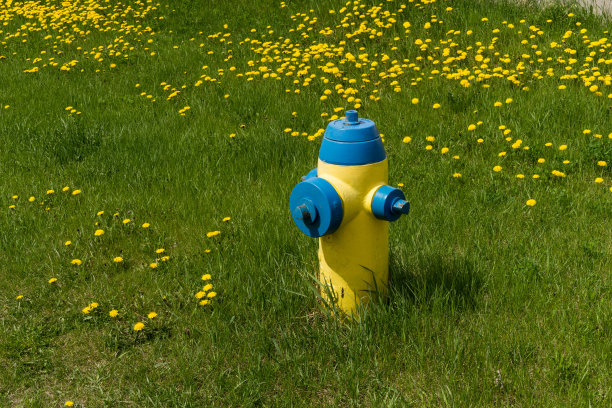 草坪上的消火栓