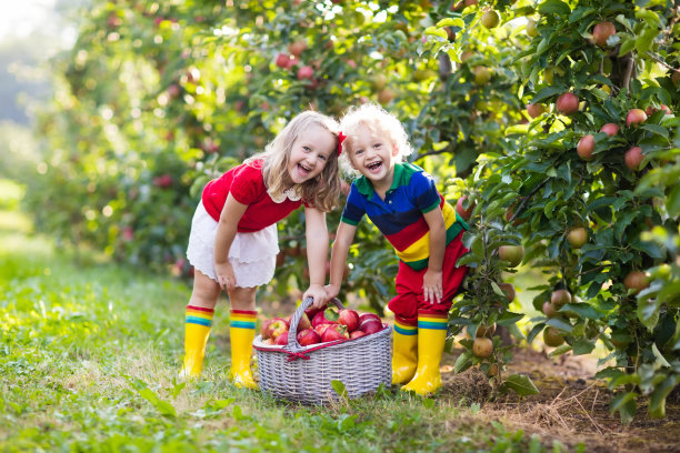 orchard