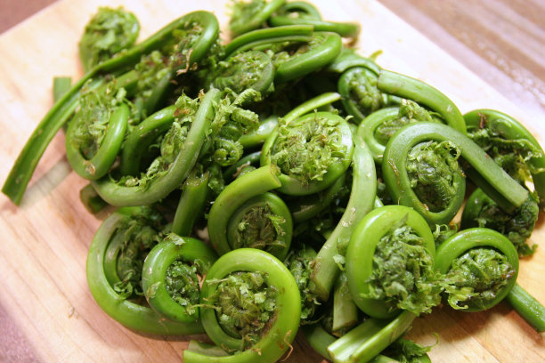 fiddlehead