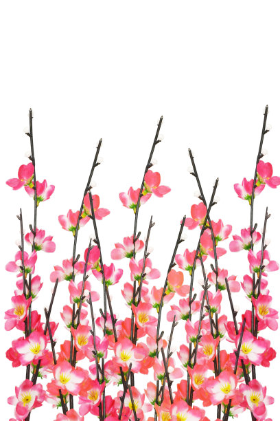 背景分离,春节,文化