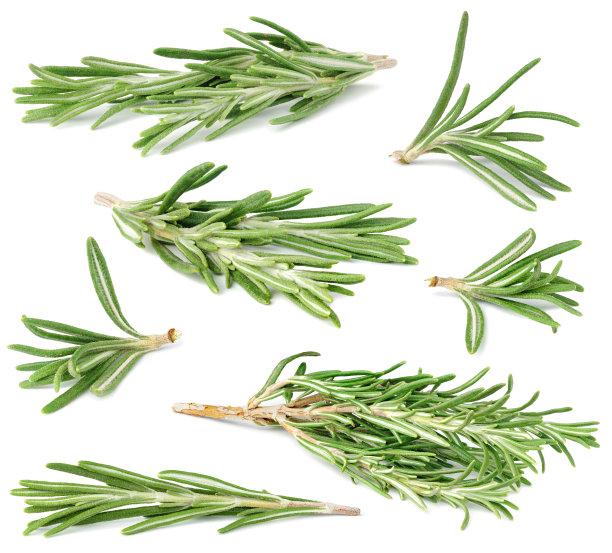 rosemary