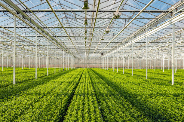 greenhouse