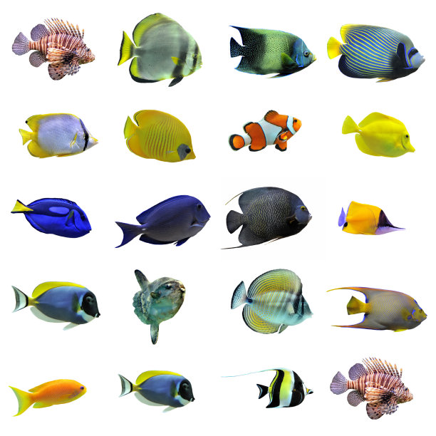 aquarium