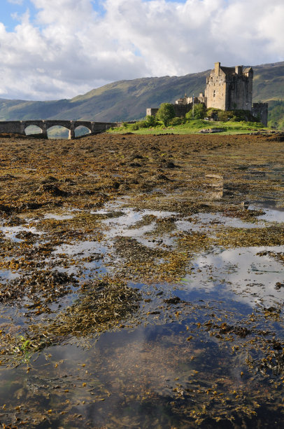 donan