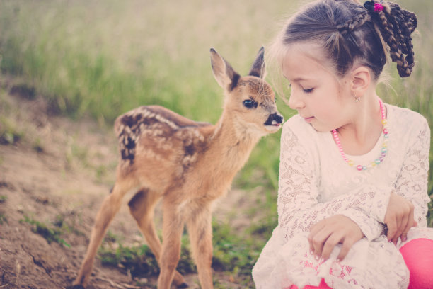 deer