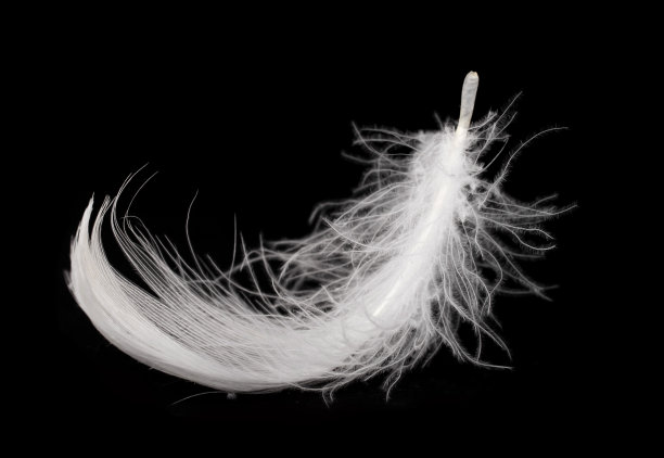 feather