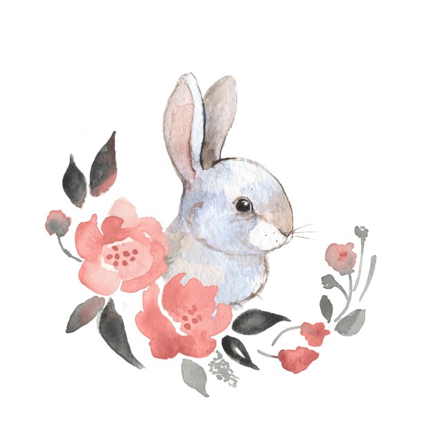 兔子绘画画画