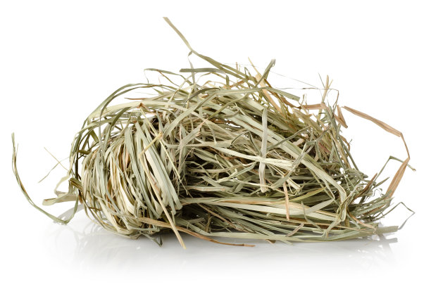 hay