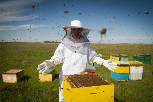 pollination