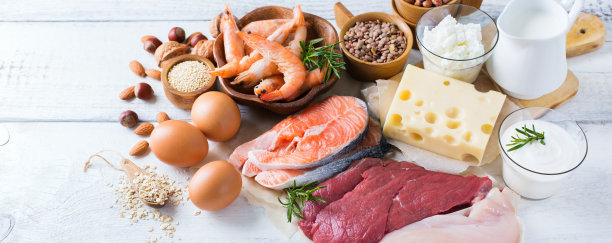 protein