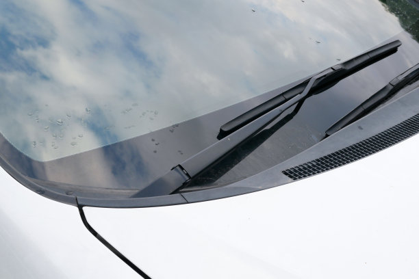 windshield